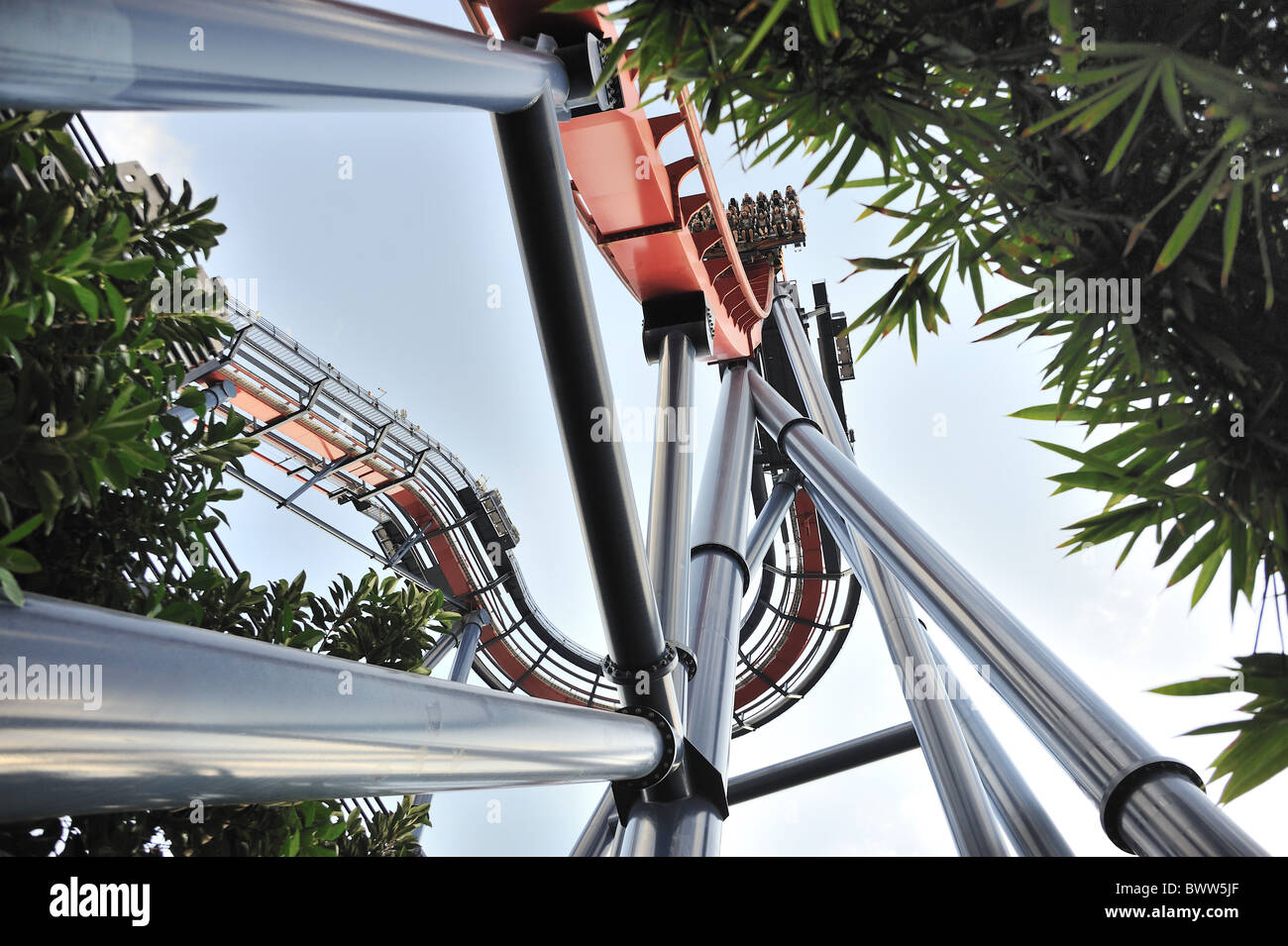 Busch Gardens rollercoaster Banque D'Images