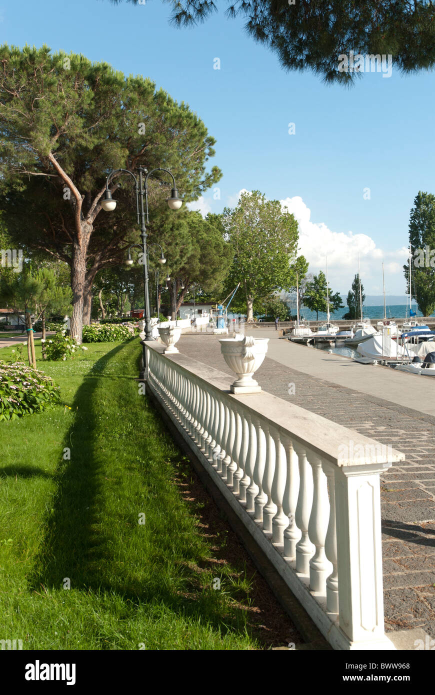 Du côté du lac et l'avenue bordée d'arbres menant au lac de Bolsena en Latium, Italie Banque D'Images
