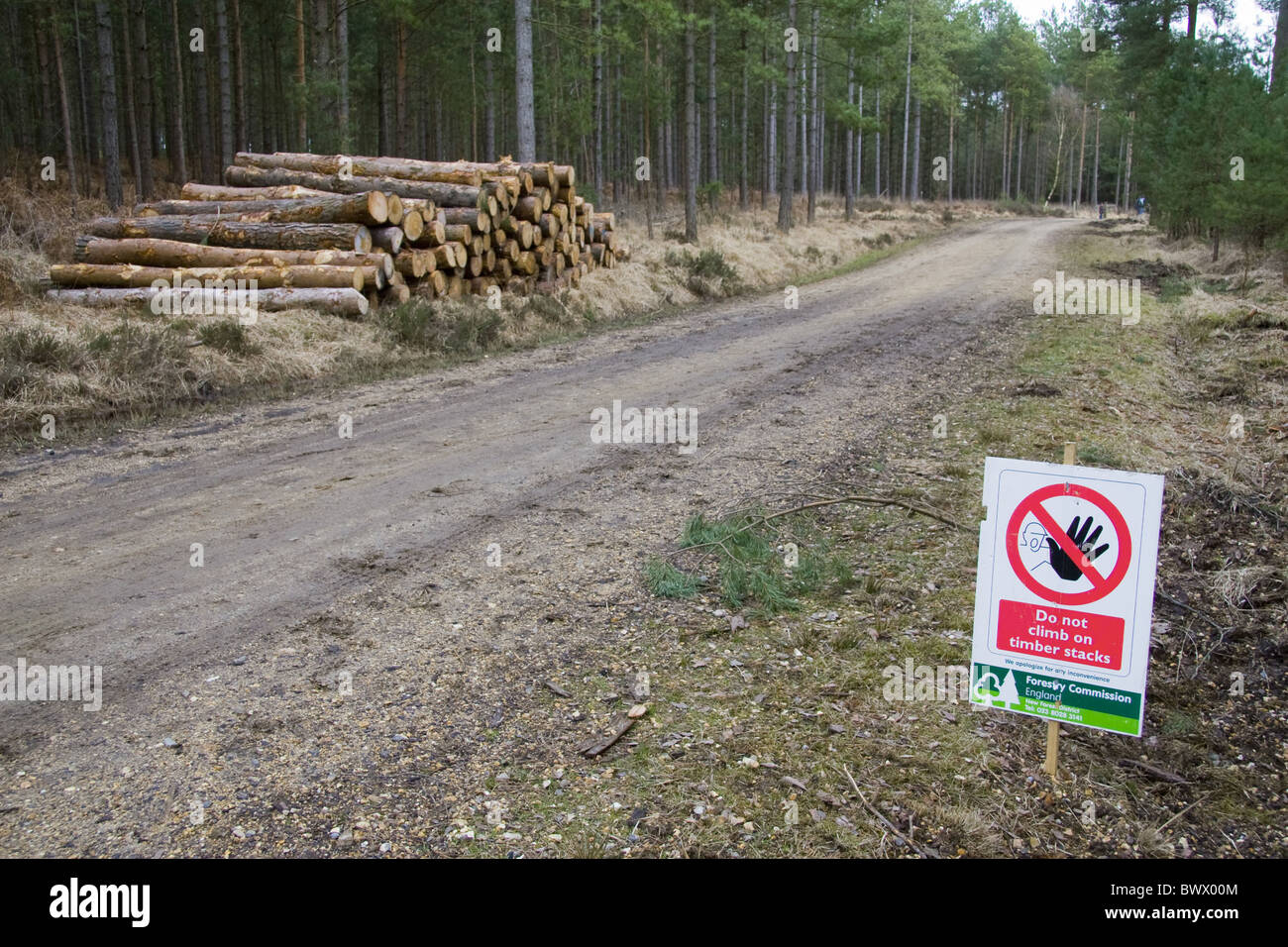 La Grande-Bretagne briitish angleterre anglais europe forêt européenne des forêts Les forêts avertissement avertissements signes commerciaux signe avis uk Banque D'Images