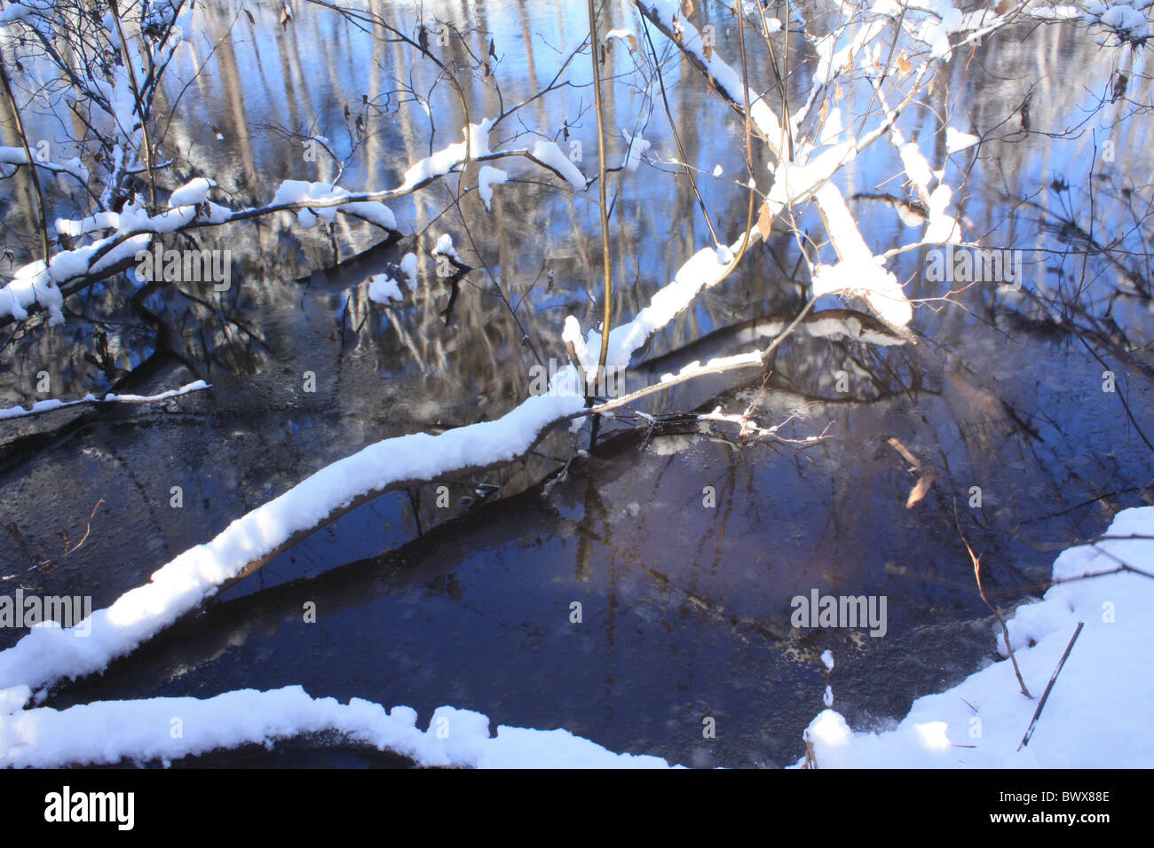 Par le ruisseau d'hiver Banque D'Images