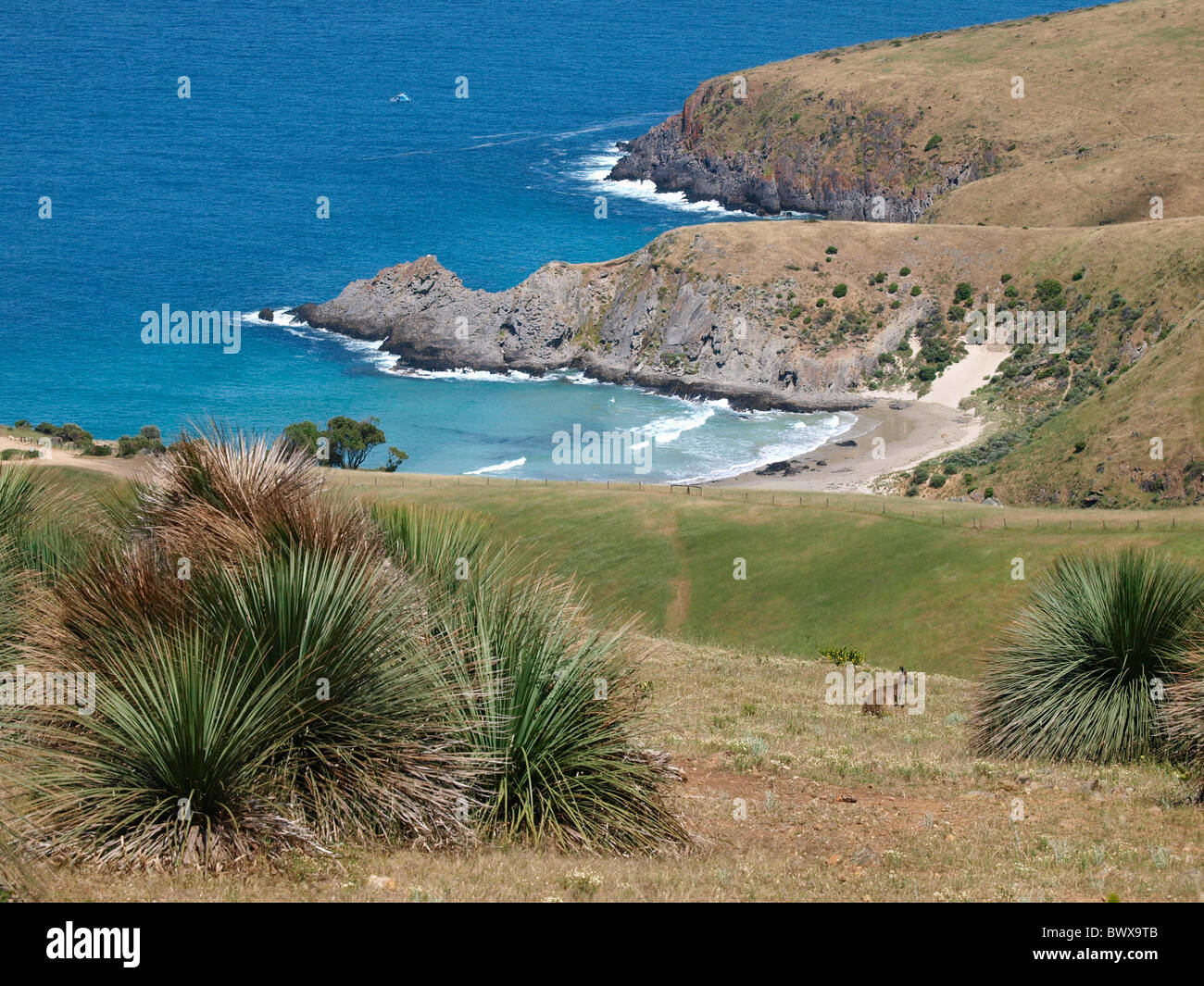 Vue SUR LA CÔTE DE LA DEEP CREEK CONSERVATION PARK Péninsule de Fleurieu, BACKSTAIRS PASSAGE, Australie du Sud Banque D'Images