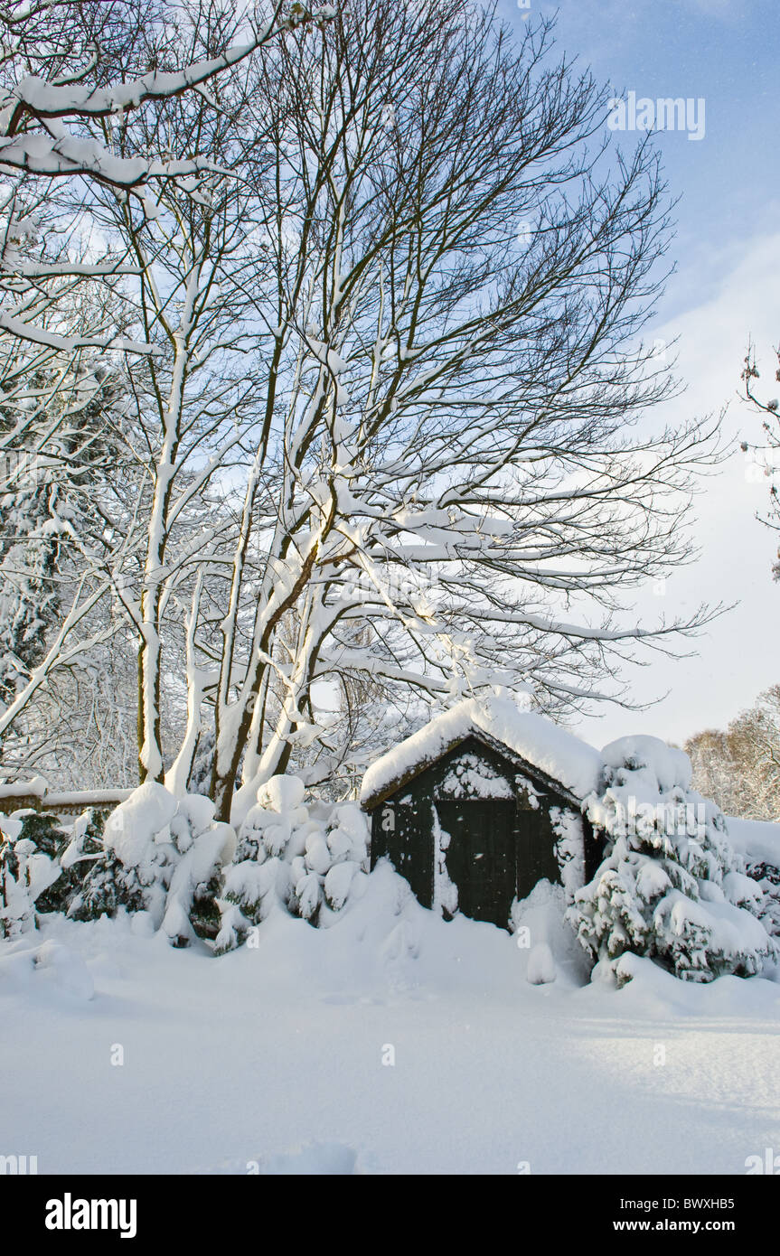 La neige a couvert la remise de jardin avec arbres environnants. Banque D'Images