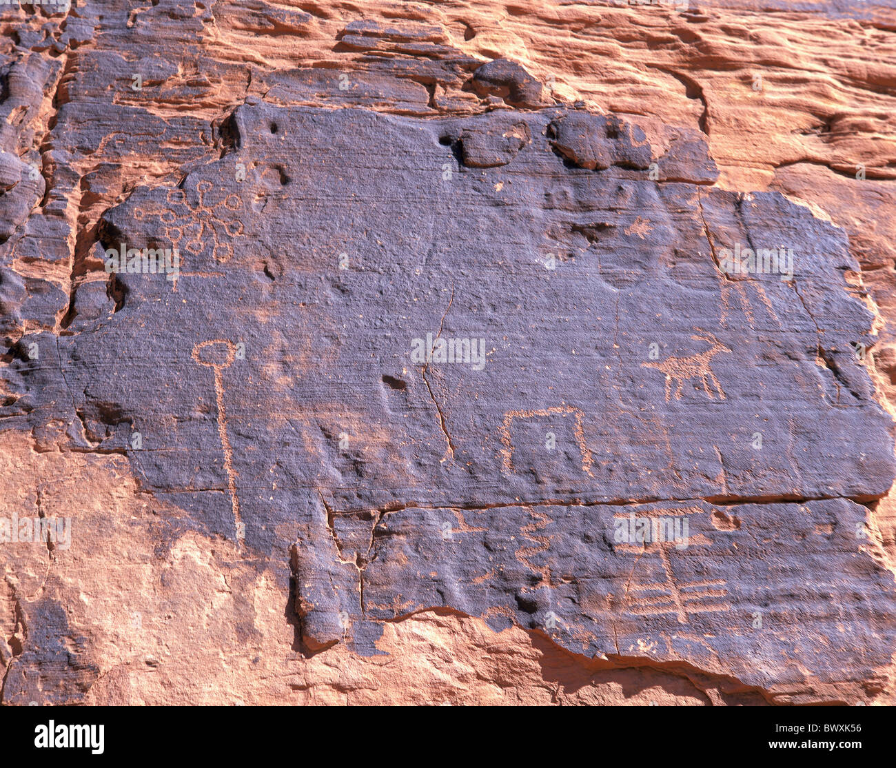 Les temps primitifs peinture dessins falaise Petroglyphes Valley of Fire NEVADA USA Amérique du Nord Banque D'Images