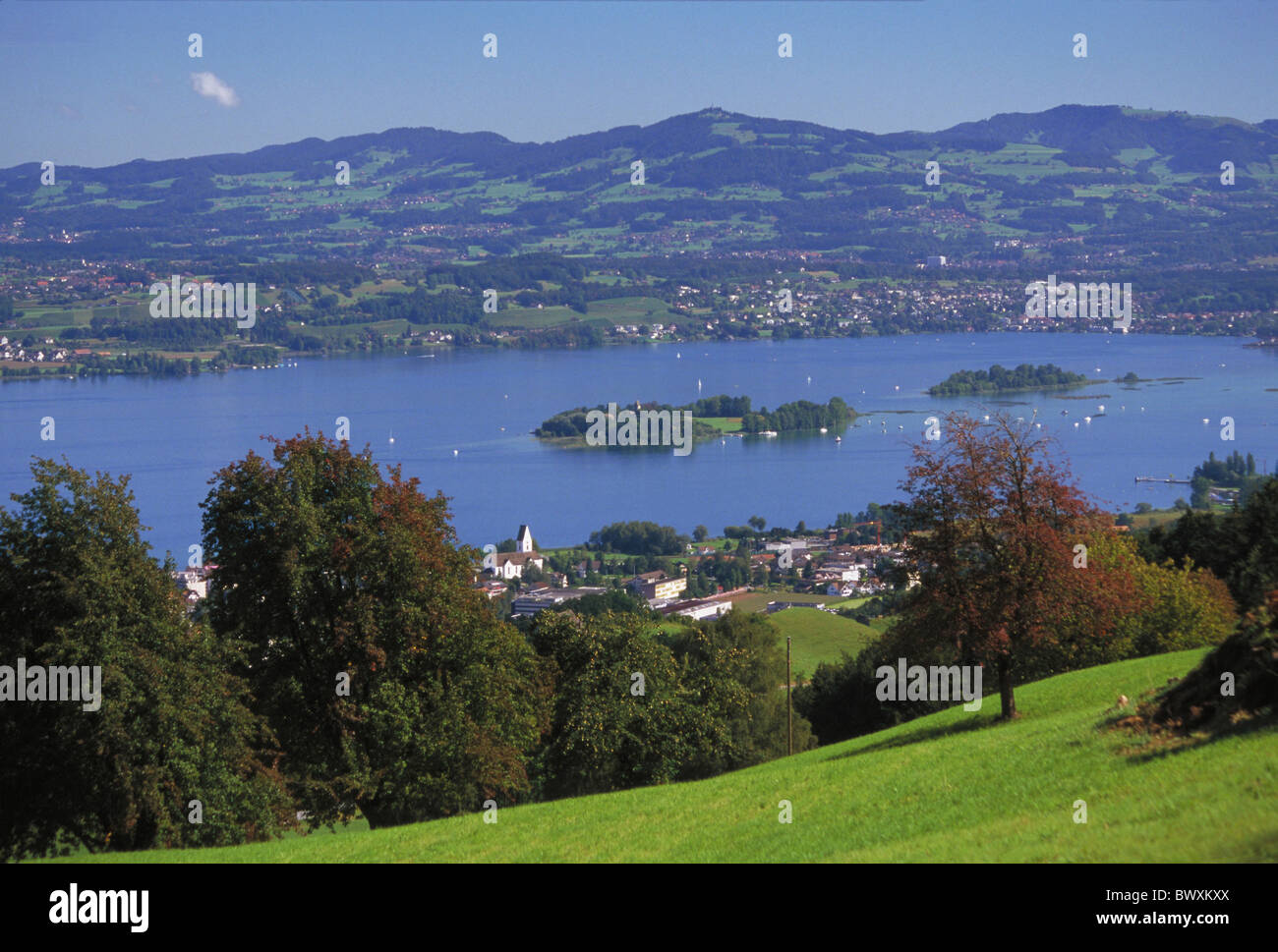 L'île Ufenau isle paysage Suisse Europe sommaire canton Zurich Zurich lac mer Banque D'Images