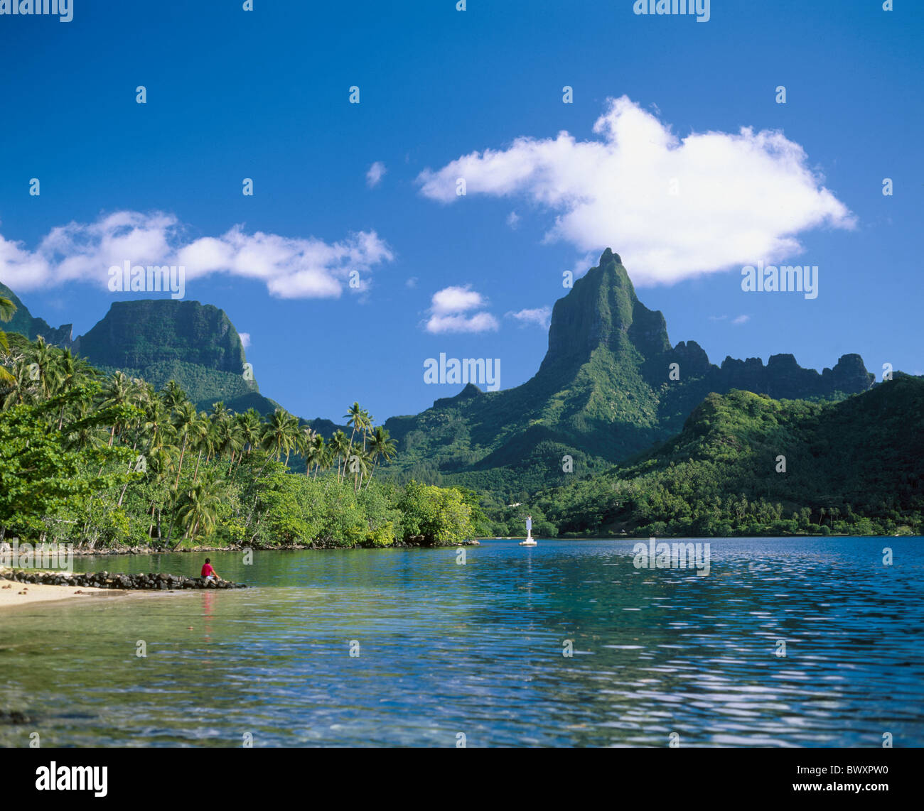 Îles du Pacifique îles Moorea paysage montagne Mouaroa Baie d