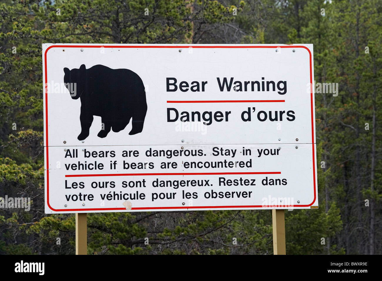 Panneau d'avertissement de l'ours, Jasper National Park, Alberta, Canada Banque D'Images