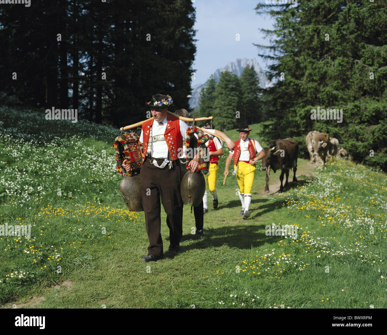 La tradition du folklore alpages alp ascenseur Appenzell lieu agriculteurs promotion vaches cloches aucun modèle rele Banque D'Images