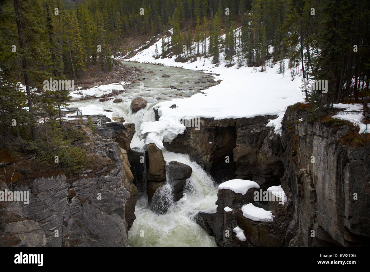 La rivière Sunwapta Falls et en hiver, en promenade des Glaciers, Jasper National Park, Alberta, Canada Banque D'Images