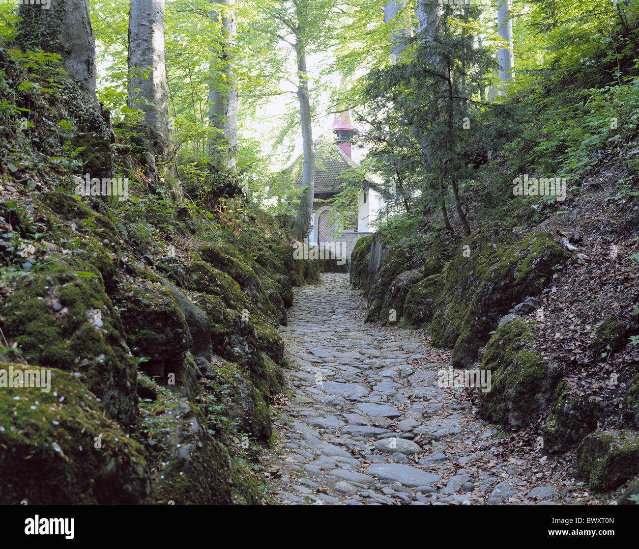 Suisse Europe Schwyz hollow lane chapelle place historique landvogt Gessler forest road Banque D'Images