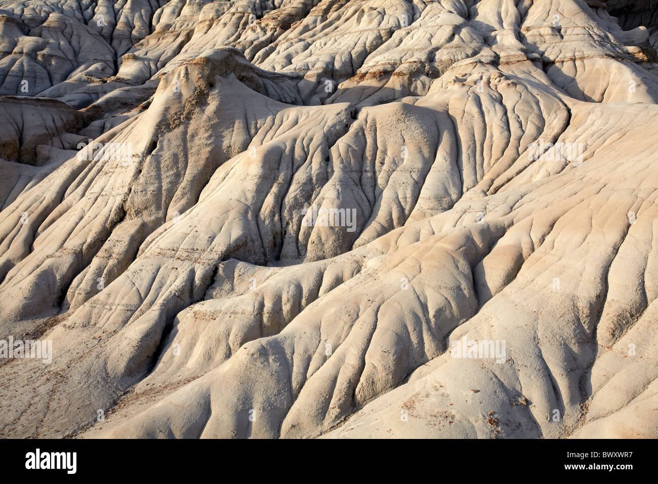 Terre érodée par les cheminées de Willow Creek, près de Drumheller, Alberta, Canada Banque D'Images