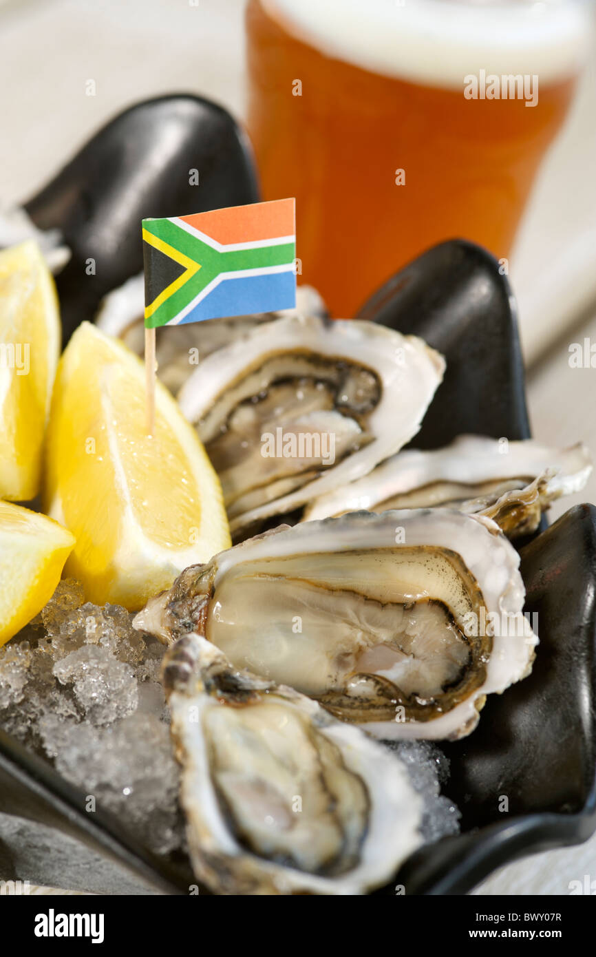 Des huîtres avec du citron et une pinte de bière de Mitchell comme servi par le restaurant Oyster Catcher à Knysna, Afrique du Sud. Banque D'Images