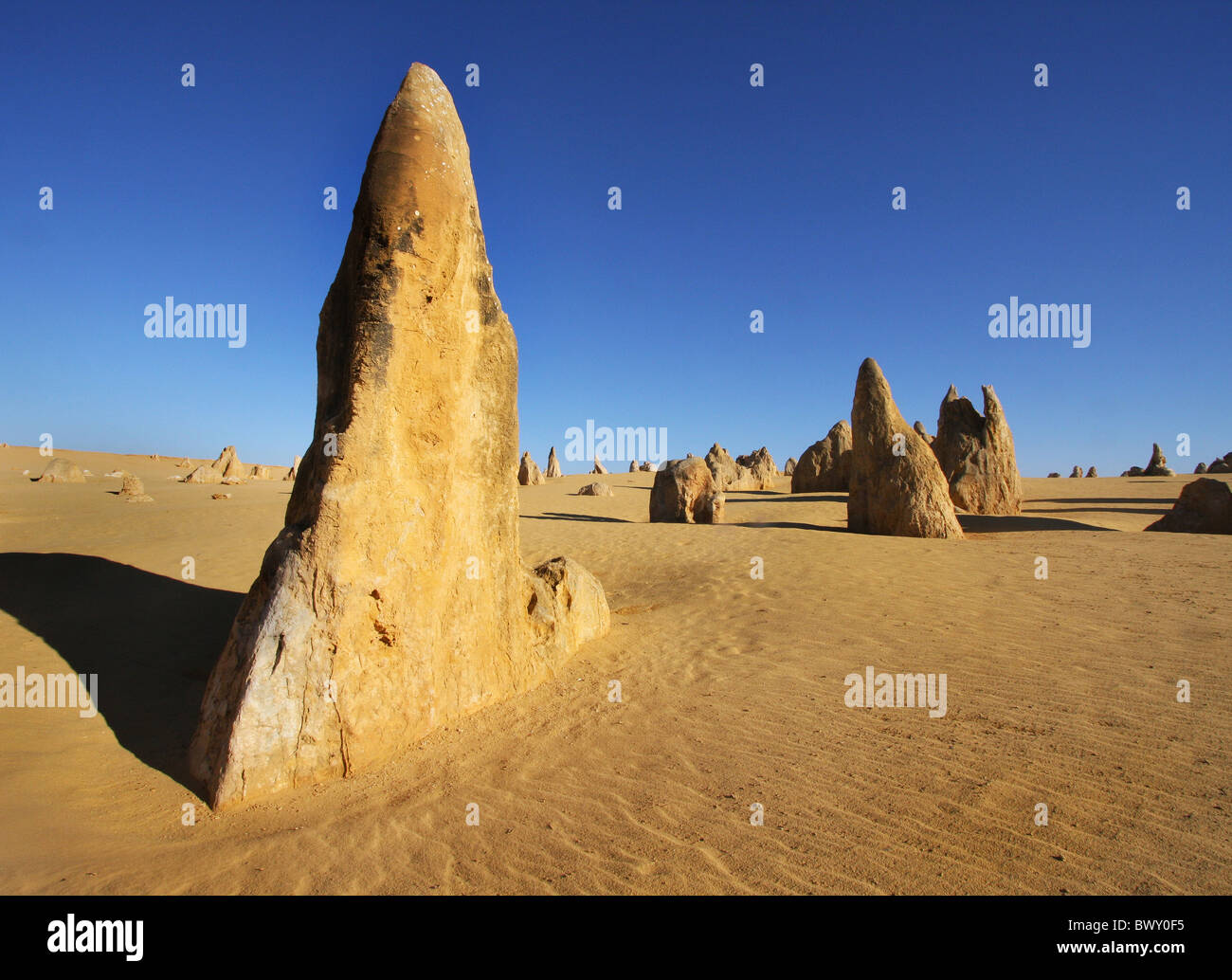 Menhirs de Ellis dans le Parc National de Nambung près de Cervantes dans l'ouest de l'Australie Banque D'Images
