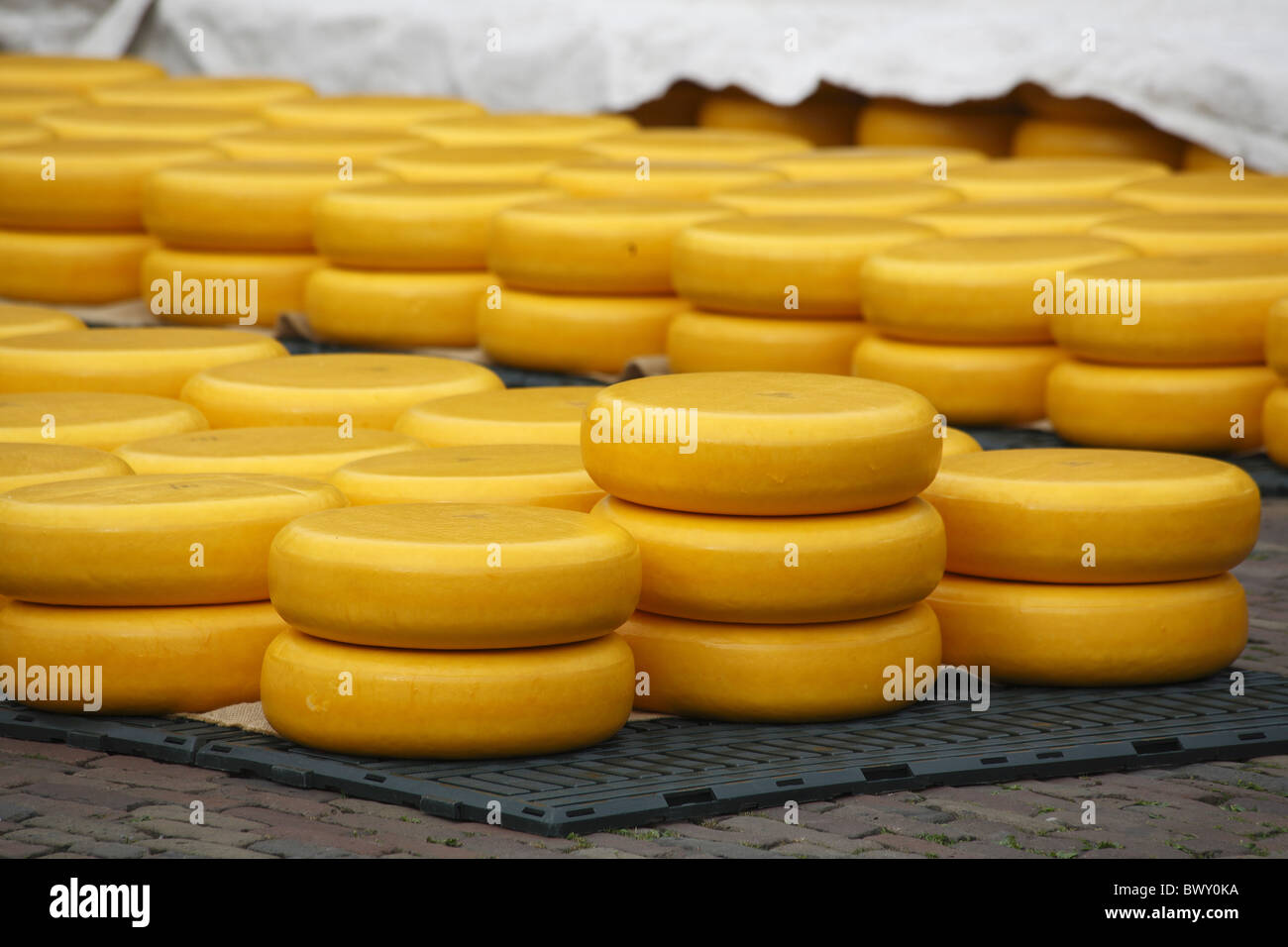 Marché aux fromages d'Alkmaar Pays-Bas Banque D'Images