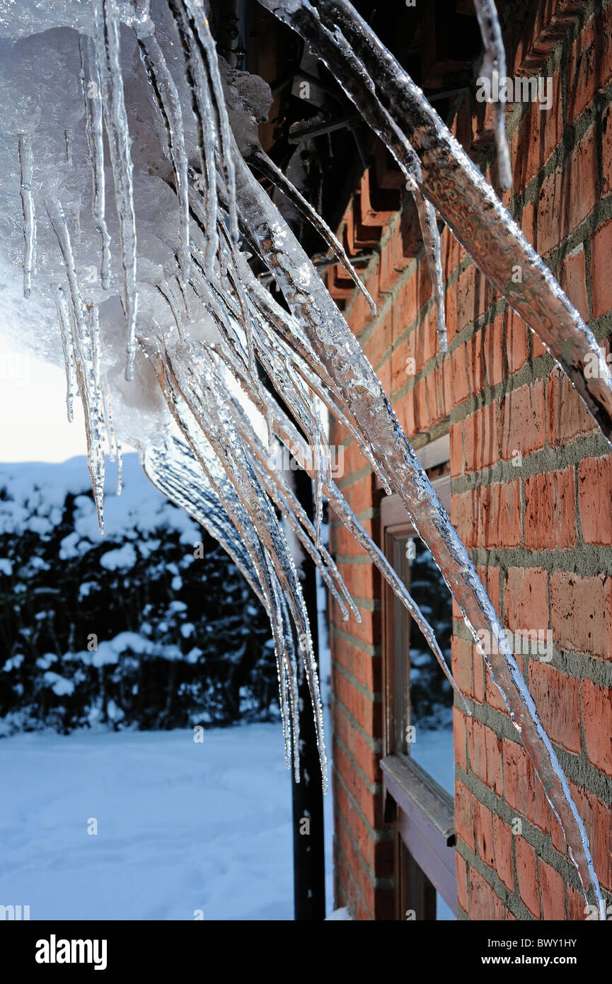 De nombreux glaçons forme dans la gouttière d'une maison en raison de fortes chutes de neige et de basses températures Banque D'Images