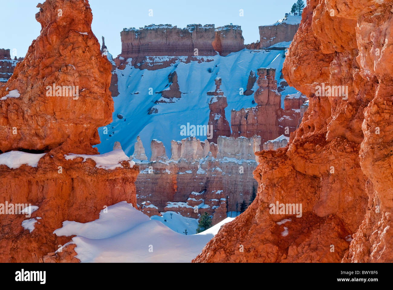 Les cheminées du Queens Garden Trail Bryce Canyon National Park Utah USA Banque D'Images