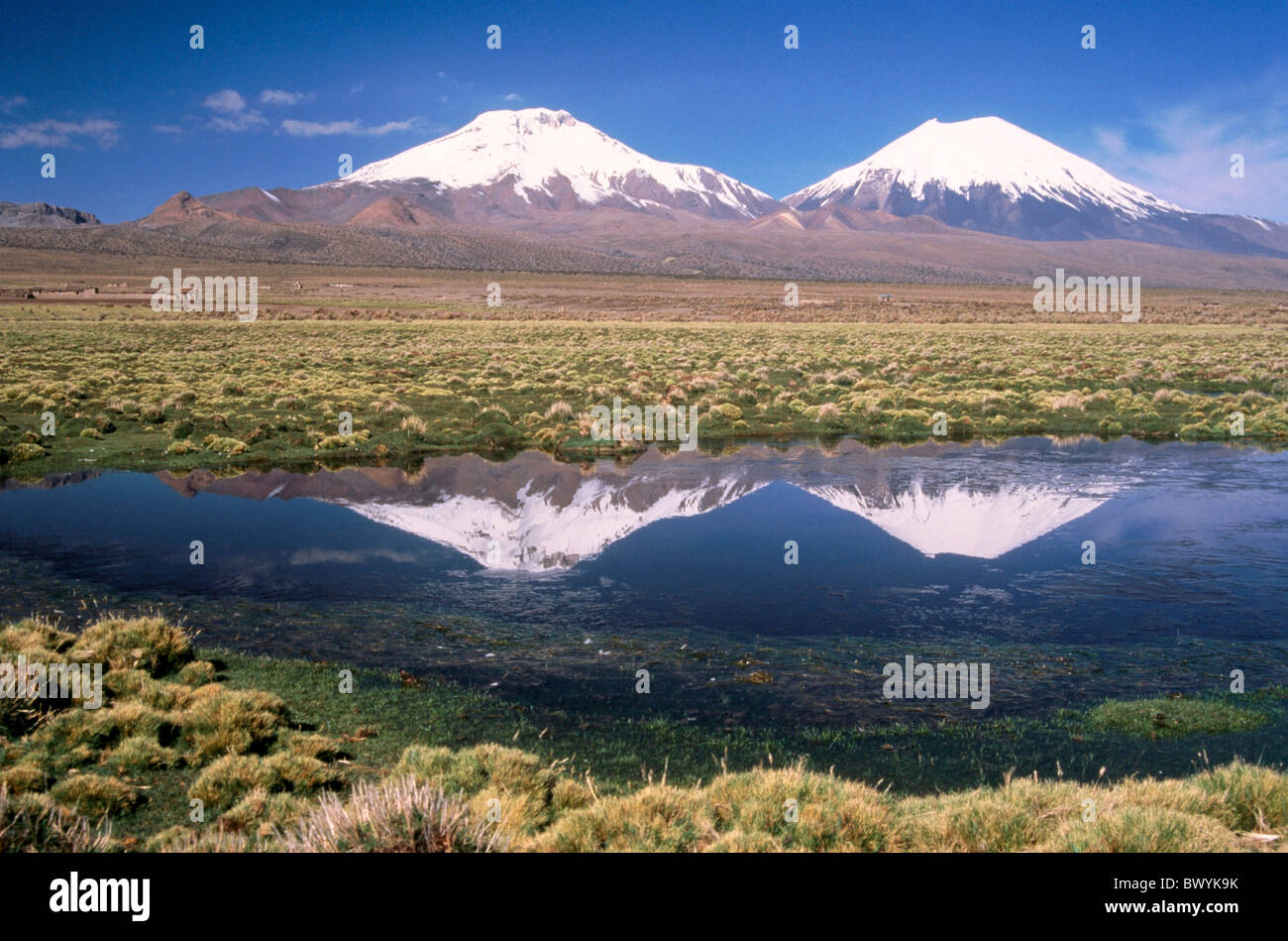 La Bolivie Amérique du Sud plan d'eau du parc national Sajama paysage volcans Parinacota steppe Banque D'Images