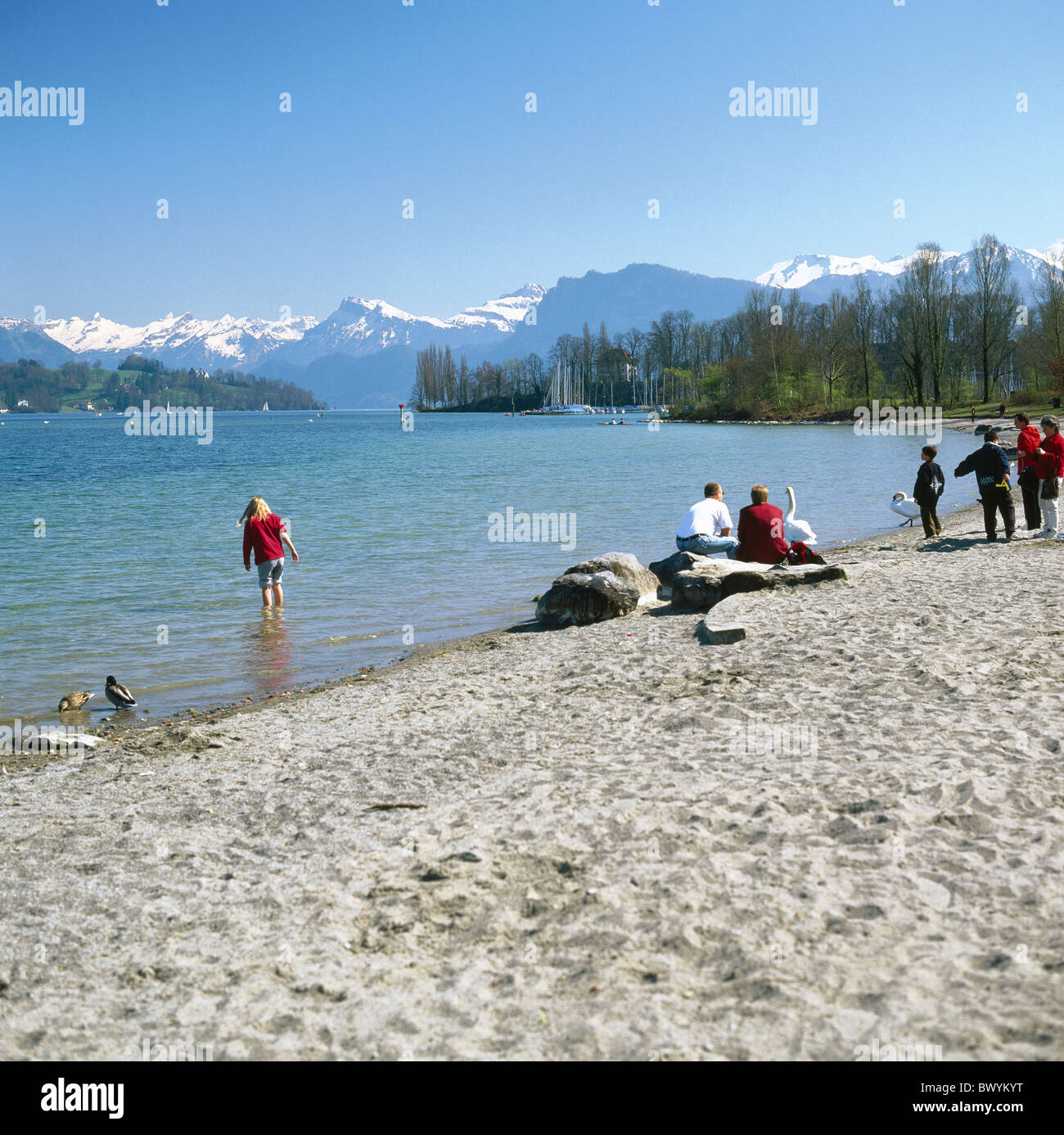 Temps libre panorama alpin suisse Lucerne gens vie Europe poussette lake  shore beach plage beac Photo Stock - Alamy