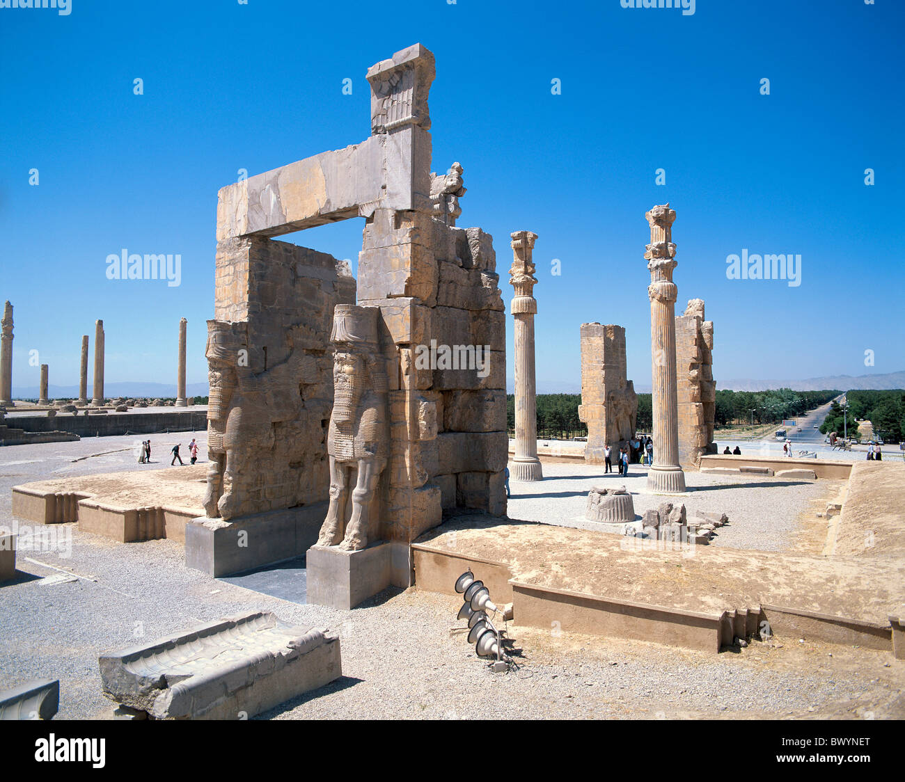 L'Iran Moyen-orient culture Persépolis sculptures colonnes Takht e Jamshid taureaux en pierre ancienne porte de Xerxès worl Banque D'Images