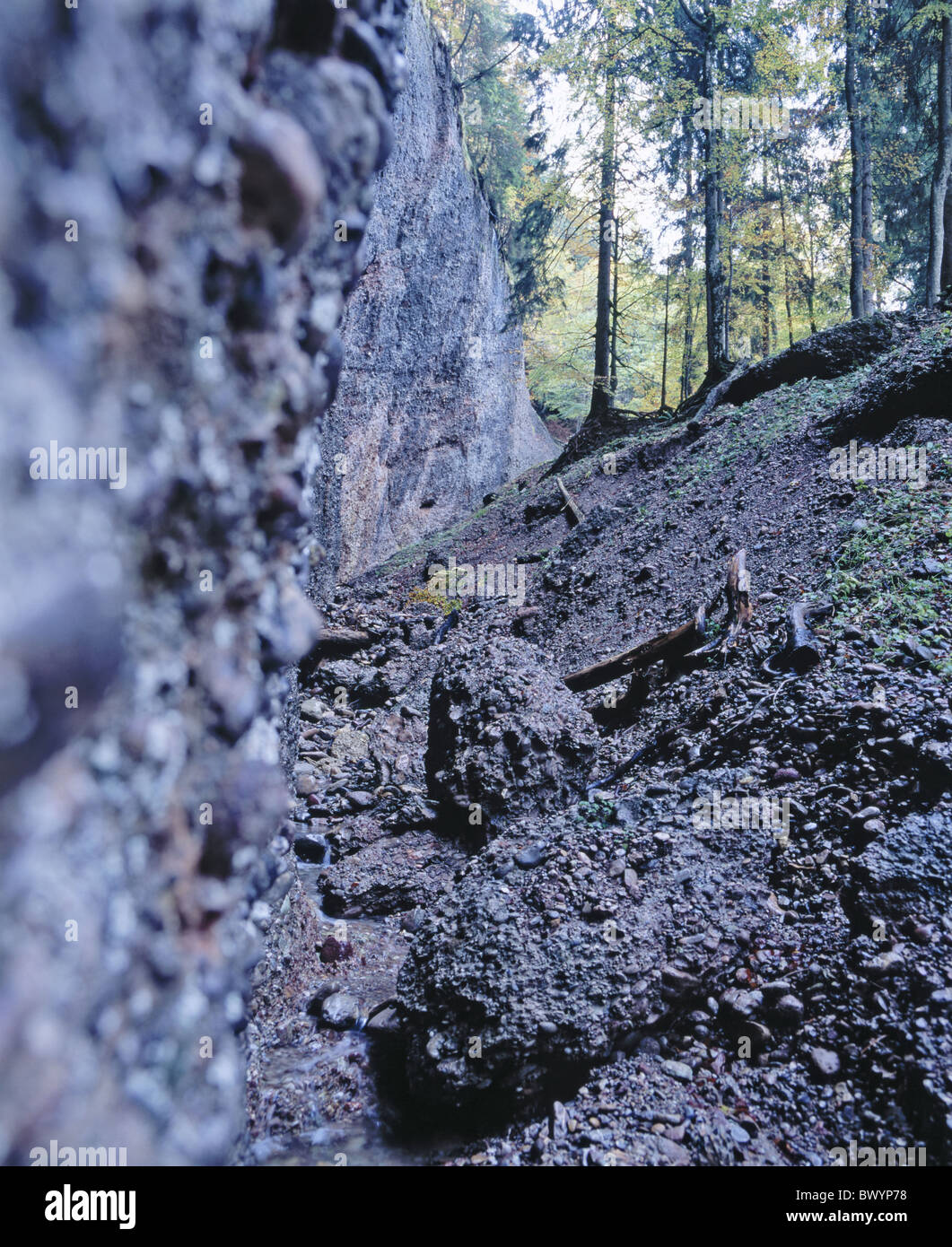 L'érosion l'érosion géologie formulaire canton St-gall Nagelfluh printemps Necker trou cuisinière source Suisse orientale Banque D'Images