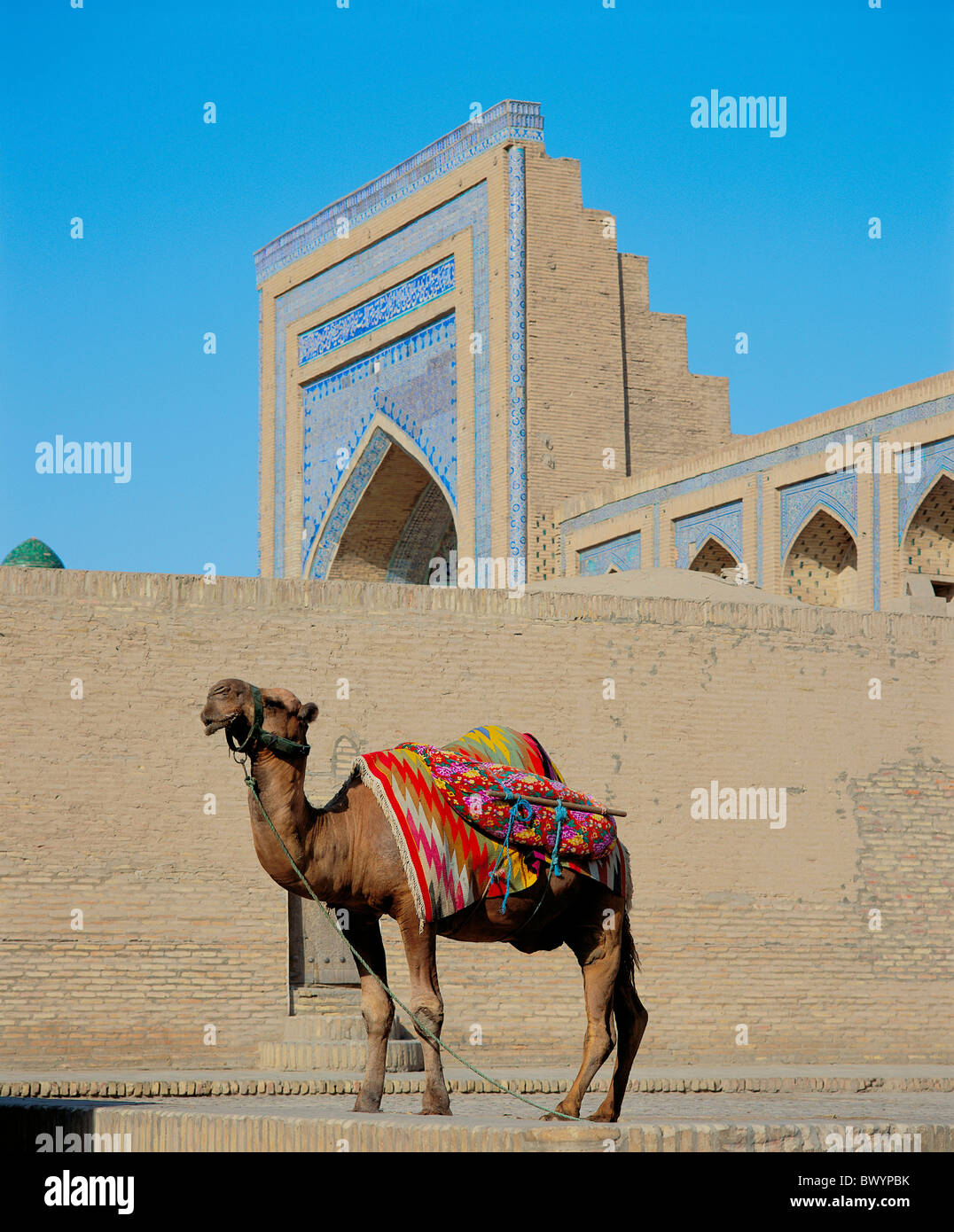 Russia Uzbekistan Banque D Image Et Photos Alamy