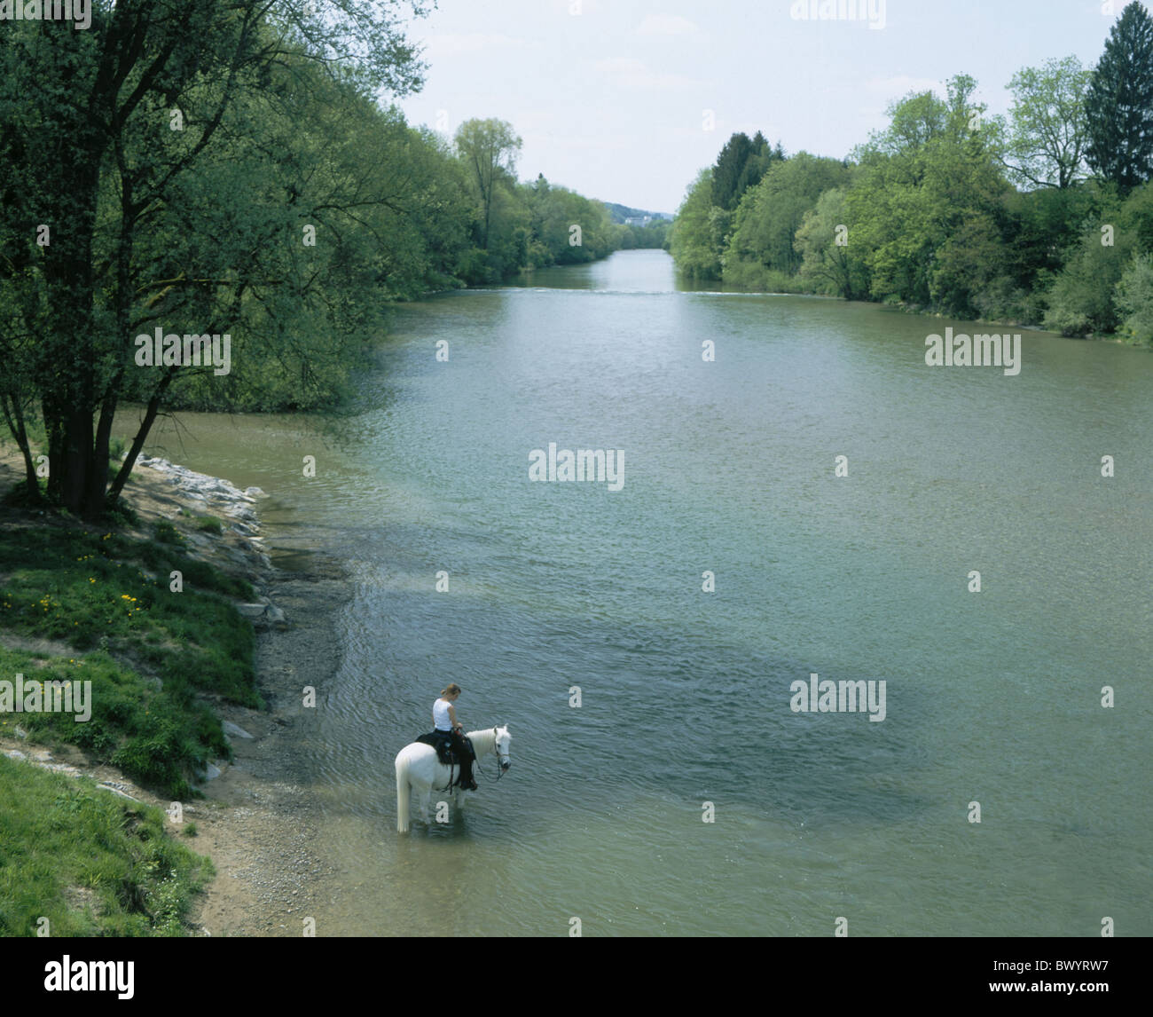 Le débit de la rivière canton de Thurgovie femme fille modèle ne libération cheval équitation Suisse Europe Thur sommaire Banque D'Images