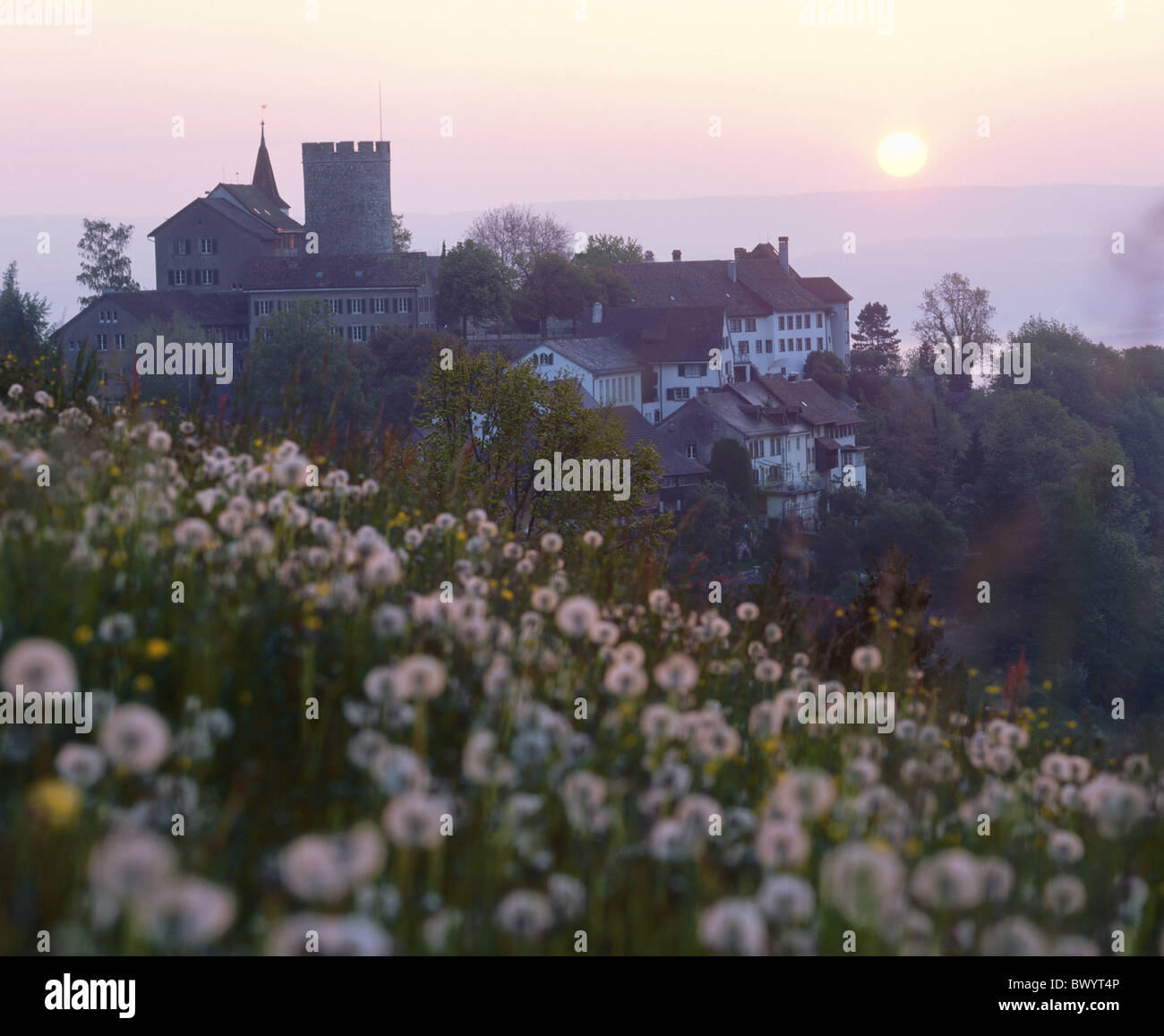 Vue sur la vieille ville flower meadow vue historique d'un lieu dans le canton de Zurich Suisse montagne pluie pissenlit Eur Banque D'Images