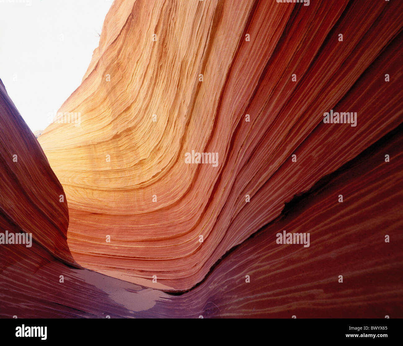 Forme de l'érosion de la structure de grès pariah canyon USA Amérique du Nord Utah Vermilion Cliffs vague Banque D'Images