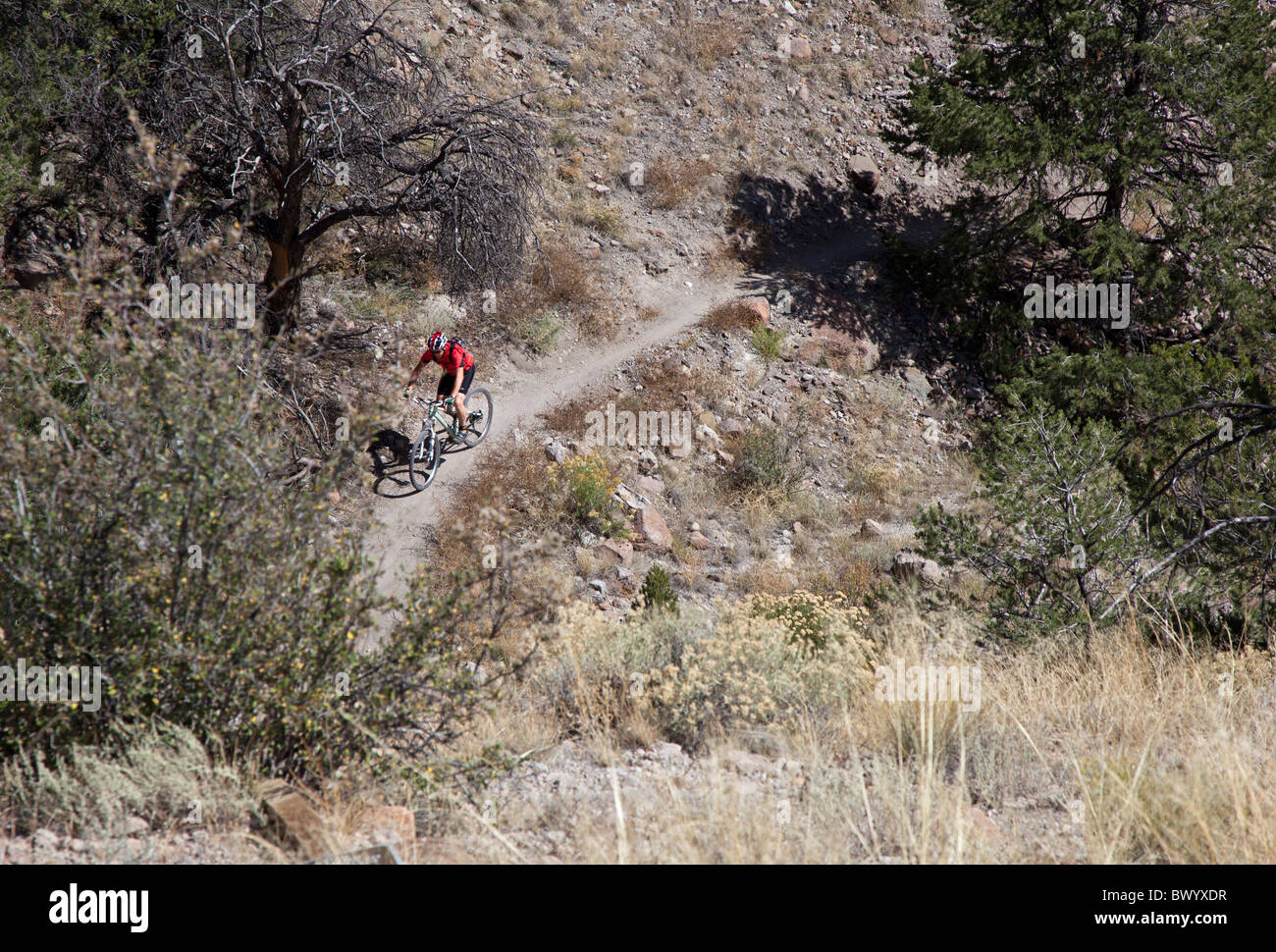 Sentier de vélo de montagne Banque D'Images
