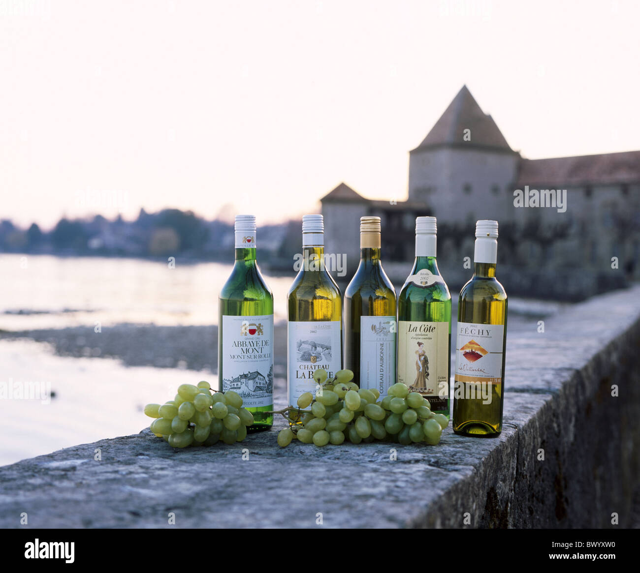 Les bouteilles d'alcool Boissons Aliments lac Léman canton Vaud La côte du  Lac Léman Suisse Europe Lake et la mer Photo Stock - Alamy