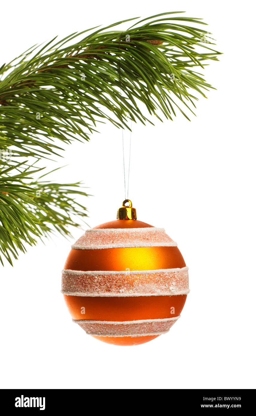 Direction générale de la décoration boule sur fond blanc, pin Banque D'Images