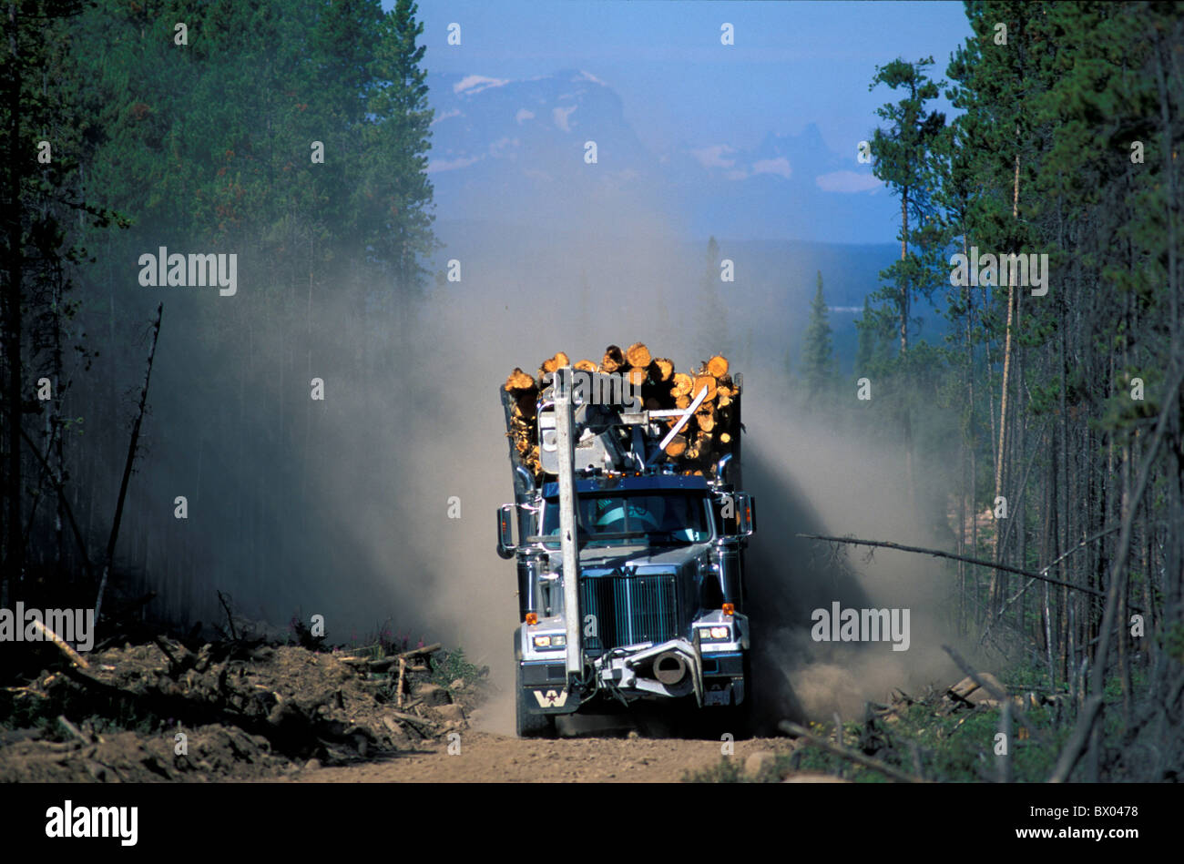 British Columbia Canada Amérique du Nord Pays Chilcotin forêt industrie forestière camion de transport w Banque D'Images