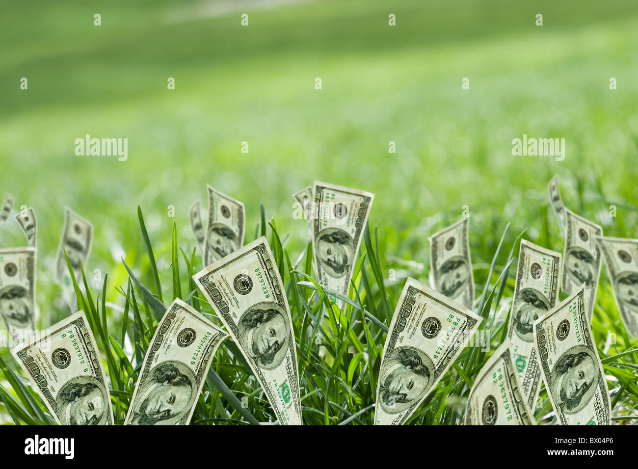 100 dollar bills growing in grass Banque D'Images