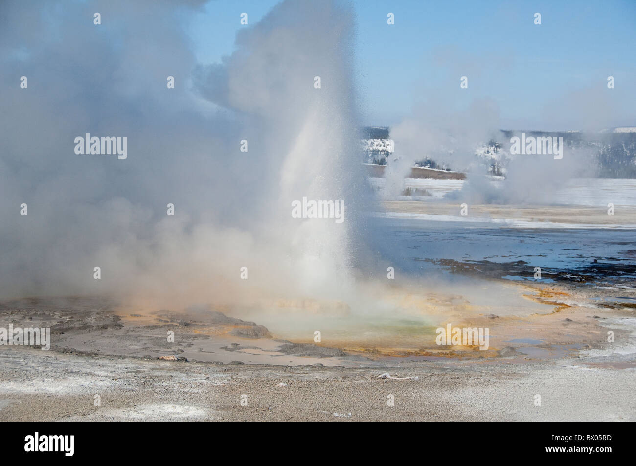 USA, Wyoming. Le Parc National de Yellowstone. Abaisser Geyser Basin, Clepsydre Geyser. Banque D'Images