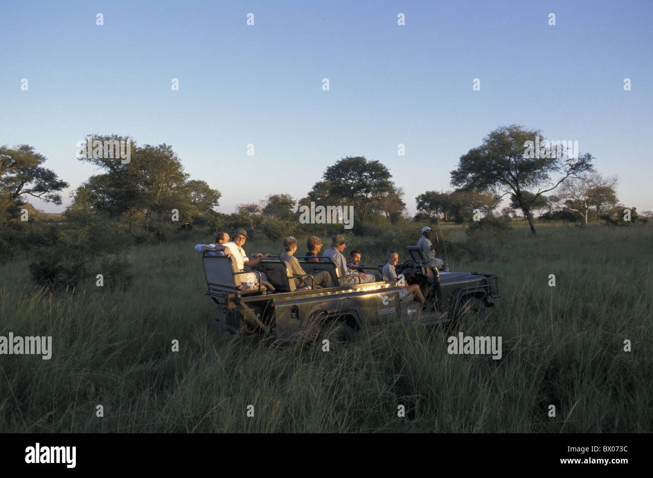 Commande de jeu Afrique jeep Landrover Londolozi Private Game Reserve modèle ne libération Mpumalanga Sabi Sand Game re Banque D'Images