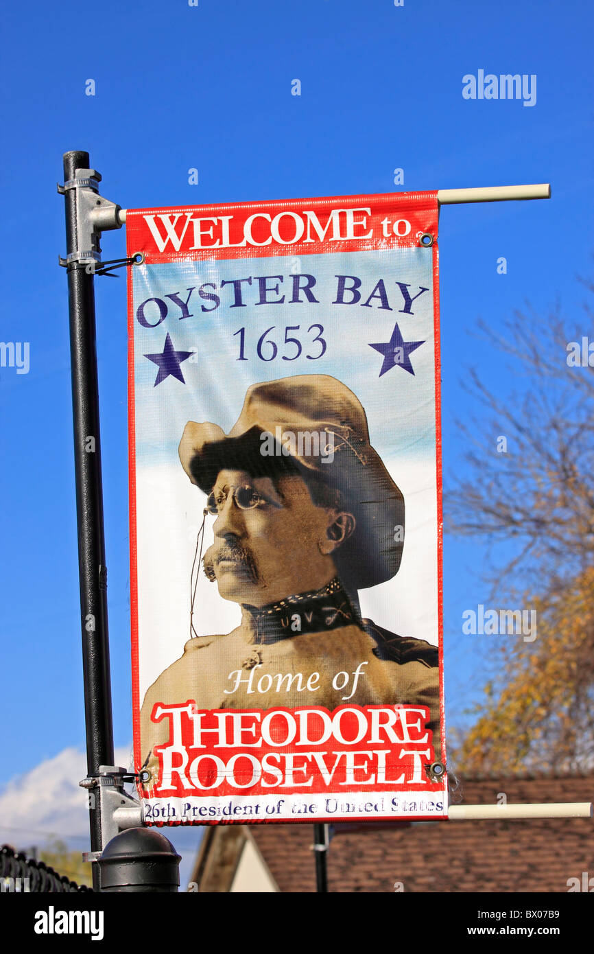 Theodore Roosevelt bannière dans sa ville natale de Oyster Bay, Long Island NY Banque D'Images