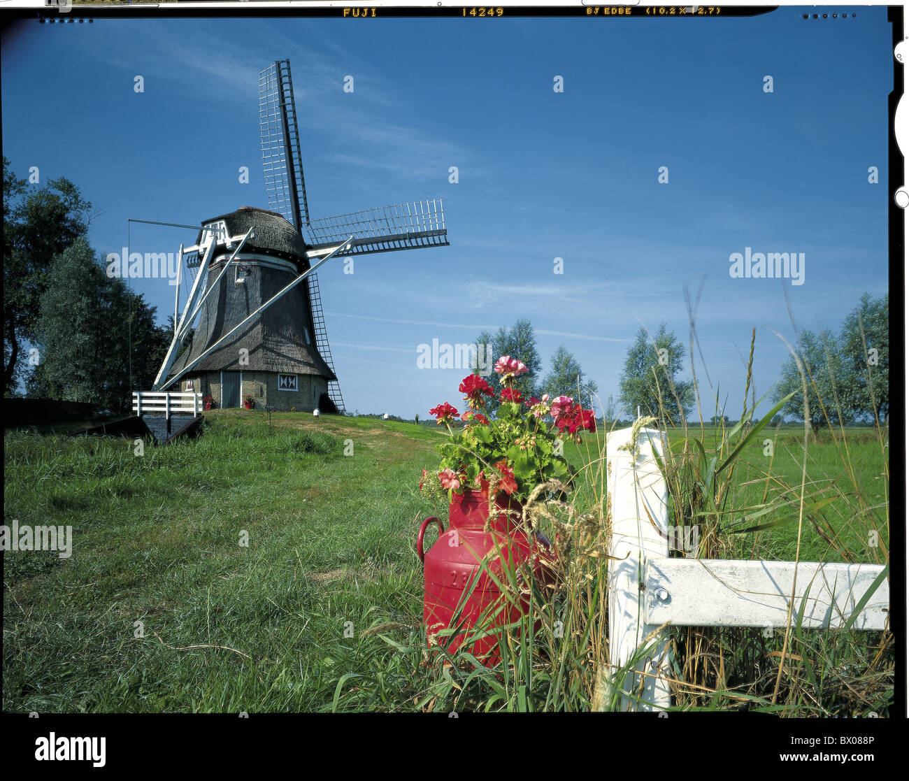 Pot de fleurs plantes paysages Munnekeburen Friesland Holland Pays-bas meadow moulin landm Banque D'Images