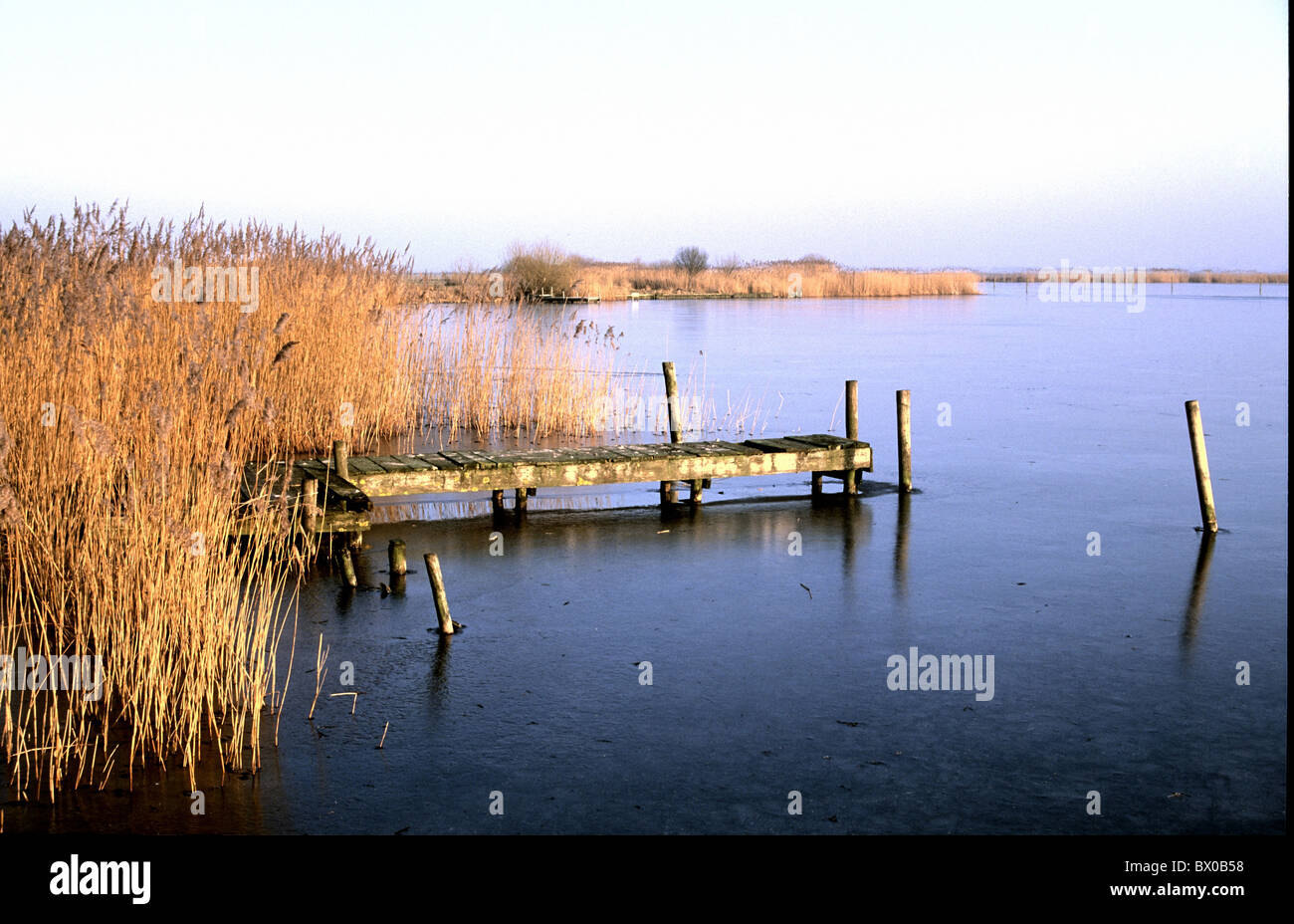 Landing stage frise Gaastmeer Hollande Pays-bas reed lake humeur passerelle  mer Photo Stock - Alamy