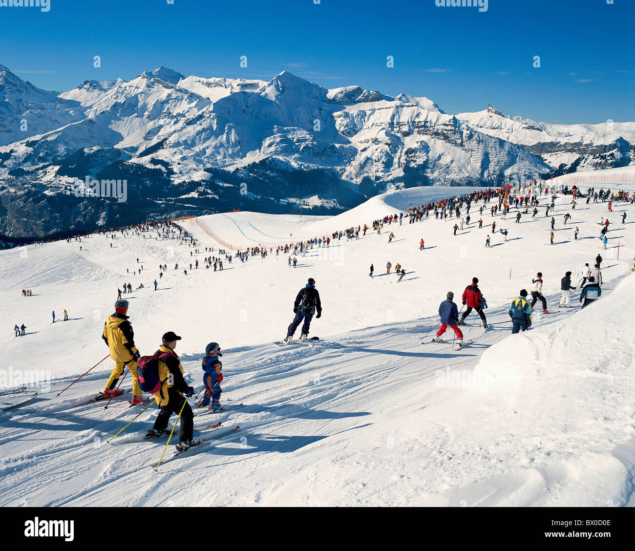 Le canton de Berne la course du Lauberhorn, foule de gens Suisse Europe ski  ski alpin ski de spectateur Photo Stock - Alamy