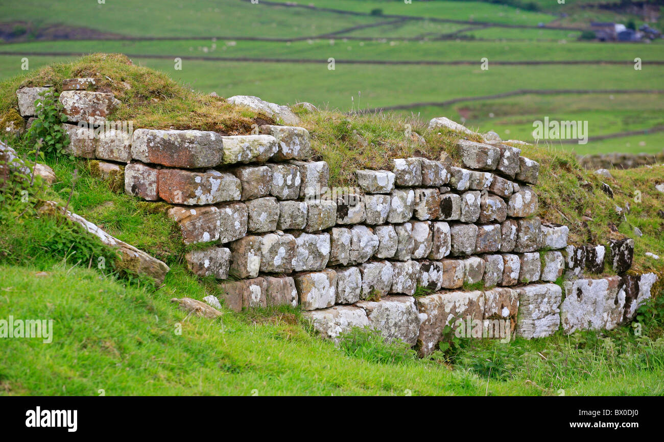 Grand Fort romain de Chesters, mur d'Hadrien, Angleterre Banque D'Images