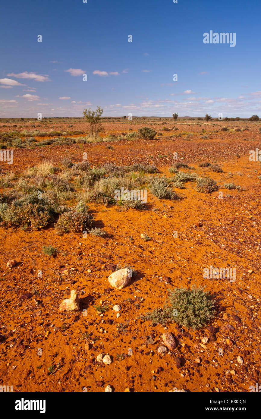 Un paysage rouge vide baragouinent entre Broken Hill et Menindee en Nouvelle Galles du Sud Banque D'Images