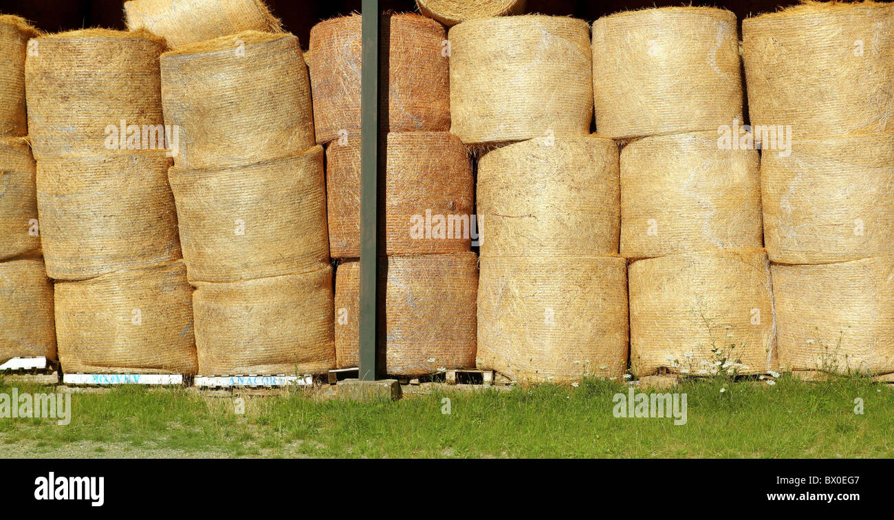 Blé round bales stacked lignes stock séché forme du cercle d'or Banque D'Images