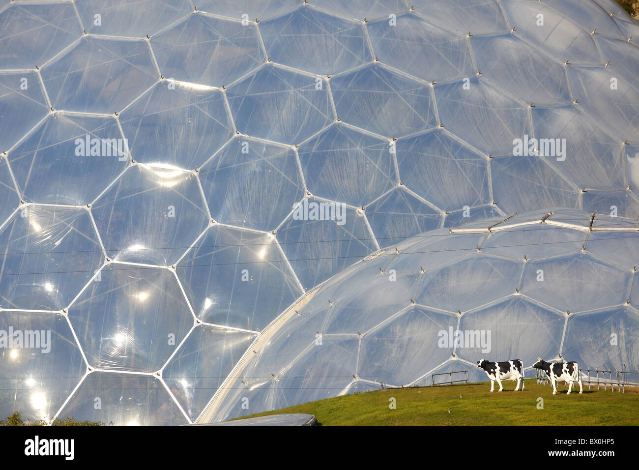À l'Eden Project biomes Cornwall UK Banque D'Images