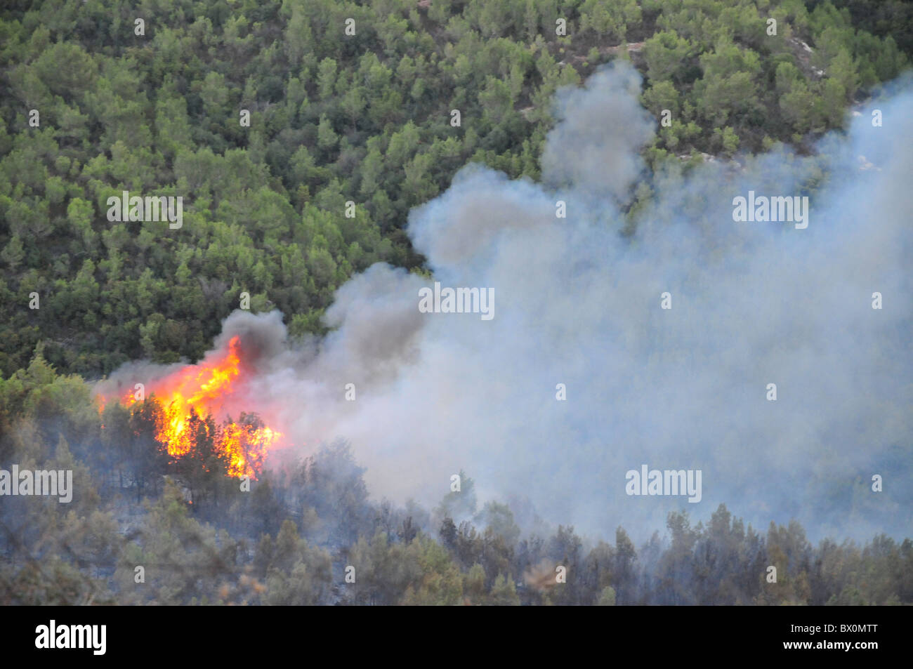 Grand feu de forêt fait rage sur la Montagne de Carmel au Sud de Haïfa en Israël. Banque D'Images