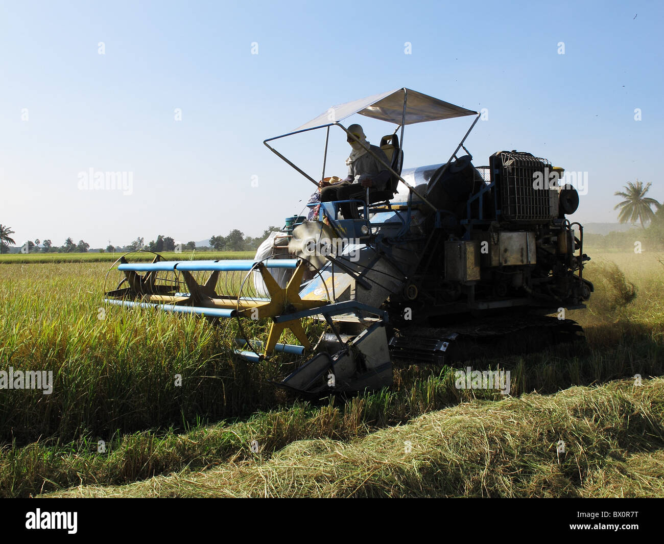 Machine de récolte est commun utilisé dans le centre de l'importante région de culture de riz de la Thaïlande. Banque D'Images