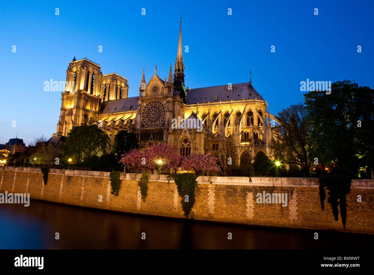 Notre Dame de Paris, Paris Banque D'Images