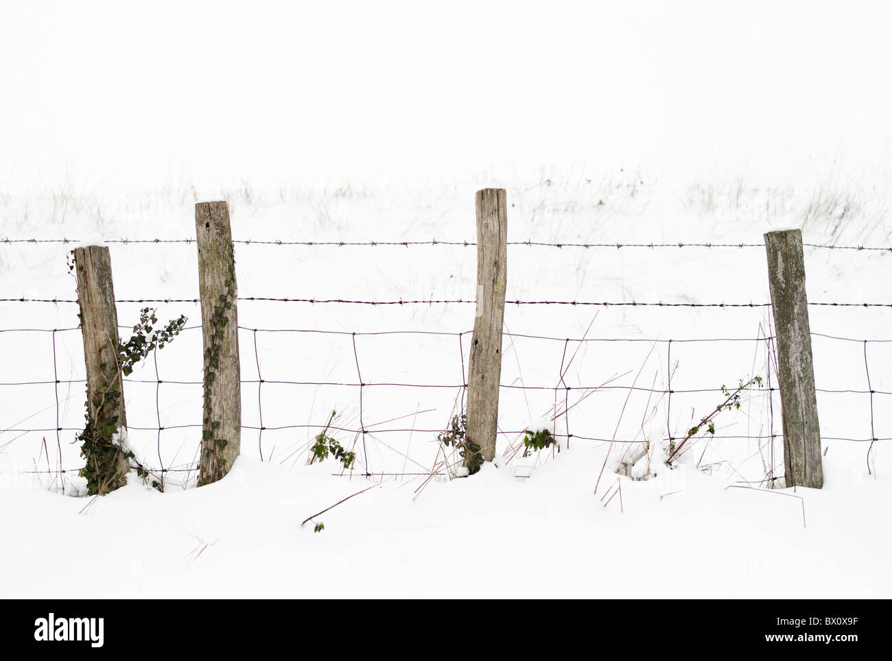 Barbelés dans un paysage de neige en hiver. Banque D'Images