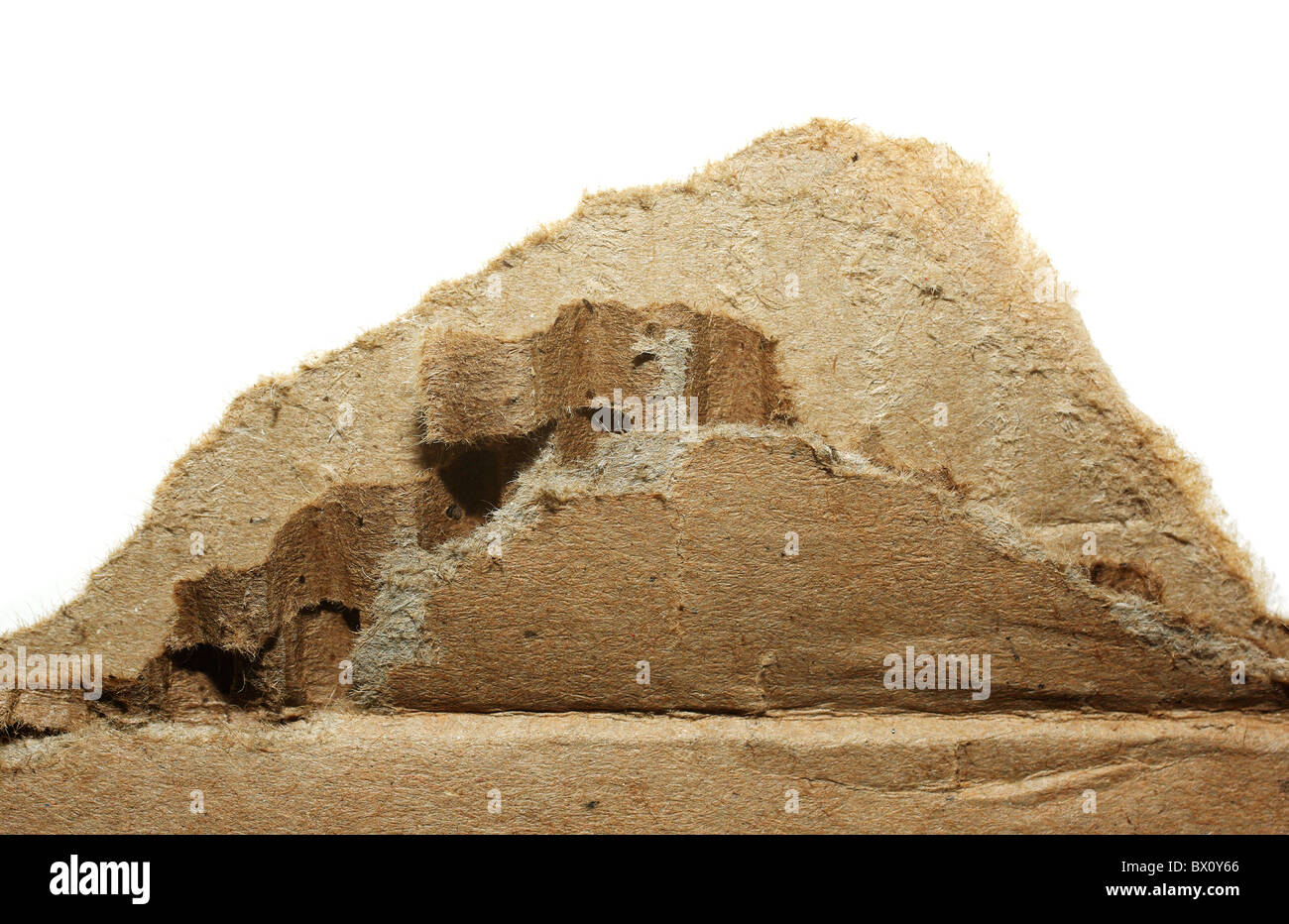 Brown torned macro carton isolé sur fond blanc. Banque D'Images