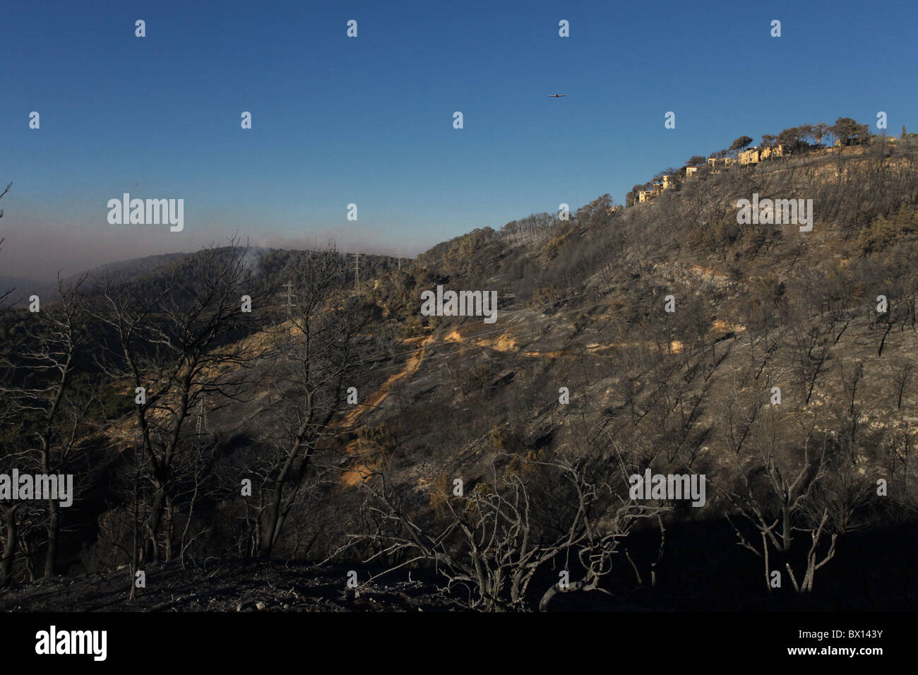 Une colline brûlée entourent Kibbutz Beit Oren après des incendies de forêt dans la réserve naturelle de Carmel Israël Banque D'Images
