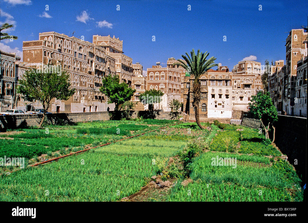 Jardin Jardins légumes palmiers vieille ville Vieille Ville Sana'a Yemen Orient Saoudite UNESCO heri Banque D'Images
