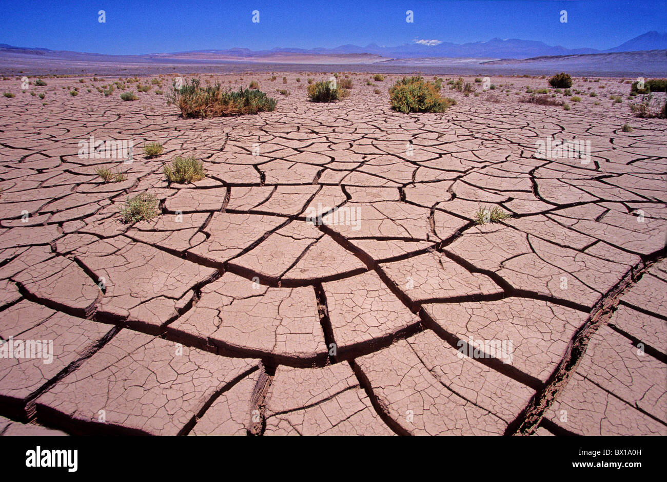 Désert désert d'Atacama au nord du Chili Le Chili Patches Crack Amérique du Sud Nord de la sécheresse du paysage Banque D'Images